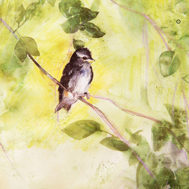 "Воробушек".