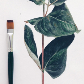 Зверобой (детали)