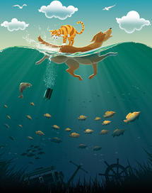 Почему кошка не дружит с собакой