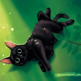 Мой кот Кузя