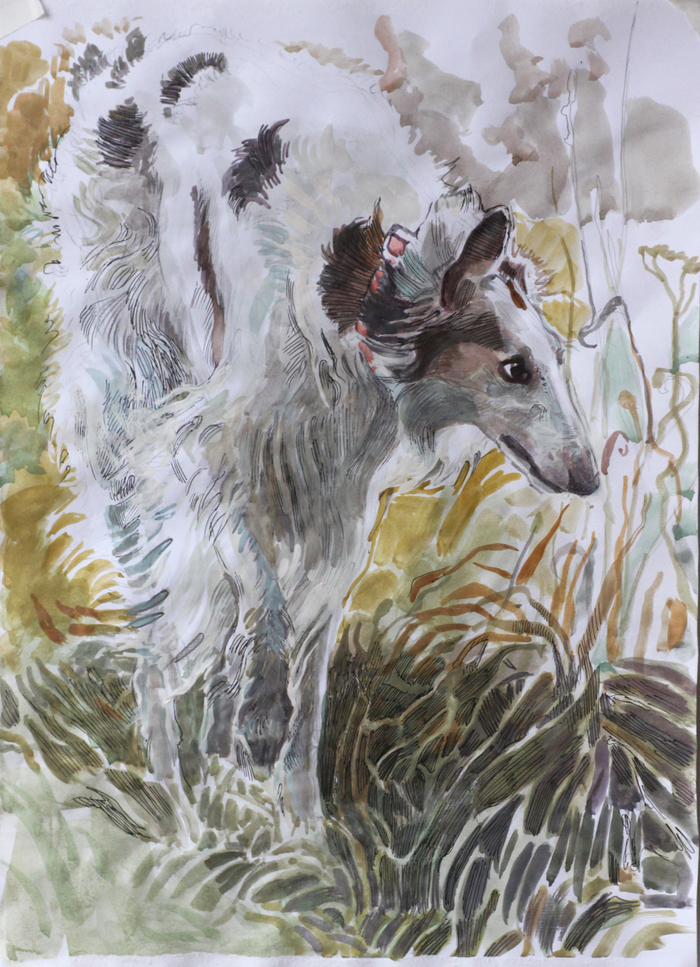 Борзая  Лето-Высь