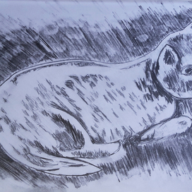 Задумчивая кошка