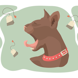 Котик и чай