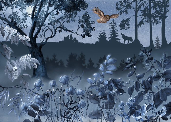 Сибирские сказки. Форзац