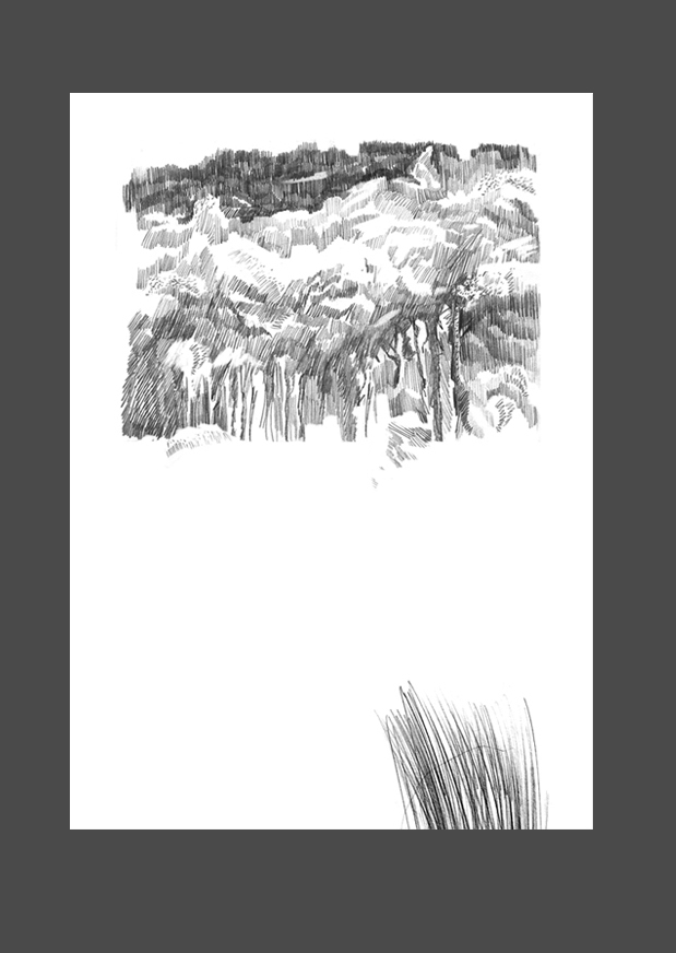 подходя к зимнему лесу