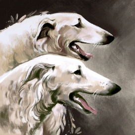 Портрет собак 