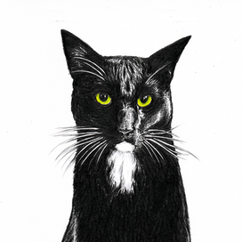 Домашний любимец одной девушки