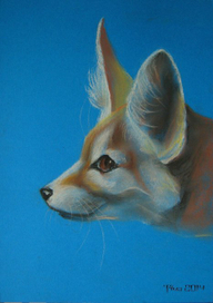 "Лисичка-фёнек"