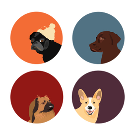 Серия из собак разных пород