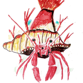 Рак - отшельник