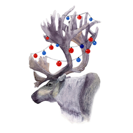 северный олень