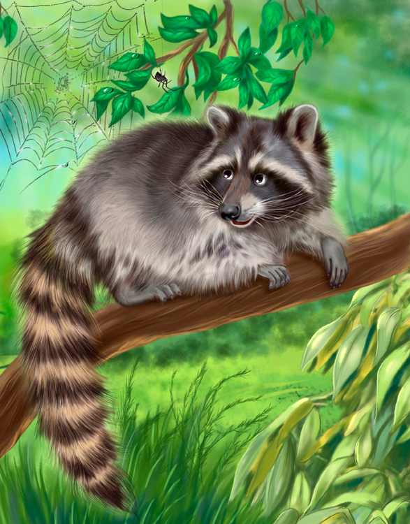 Половина разворота про енота