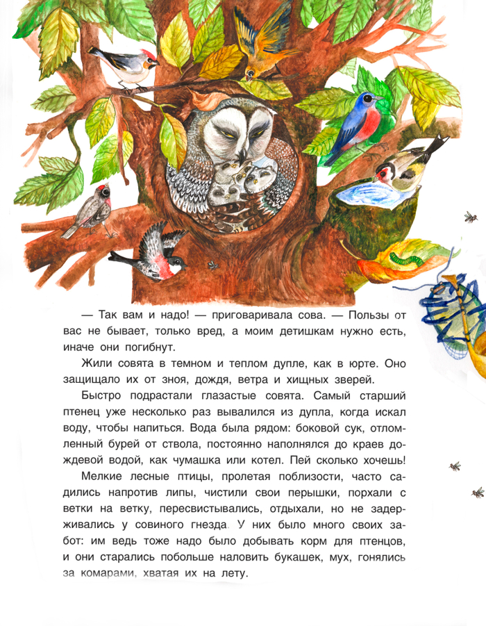 Удэгейские сказки изд. БХВ