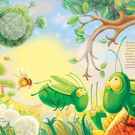 в поисках радуги