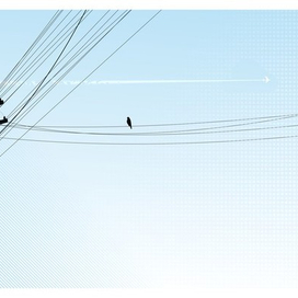 без названия