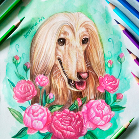 Афганская борзая и пионы