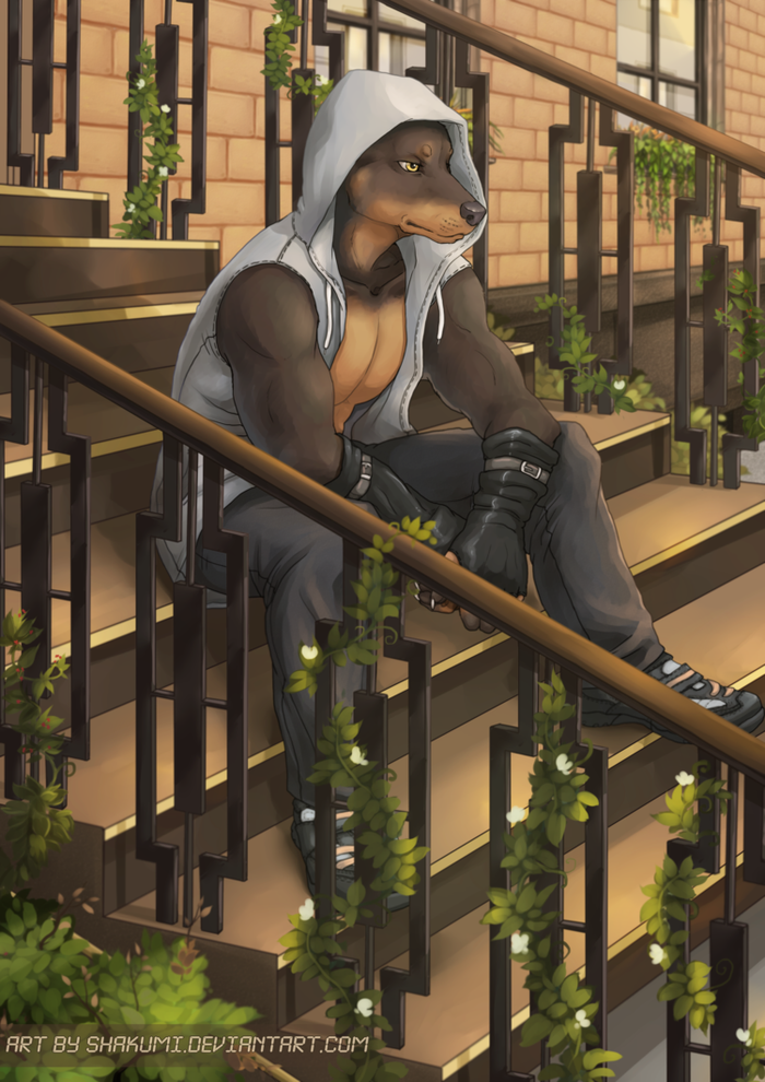 погожий день