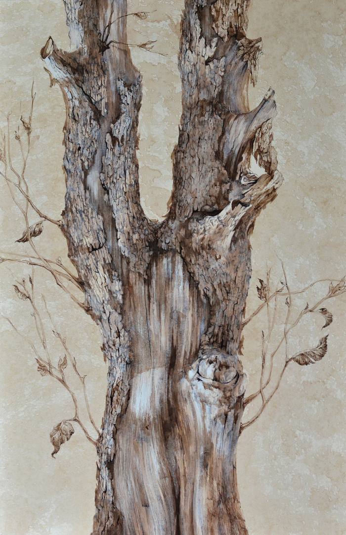 Старый тополь