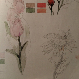 Ботанические зарисовки в скетчбуке (2)