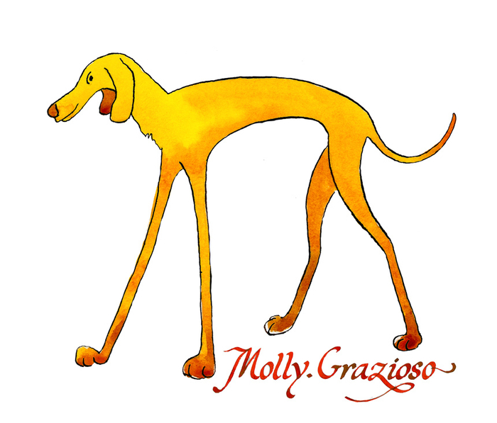 Молли. Грациозная