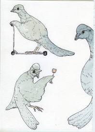 Иллюстрации