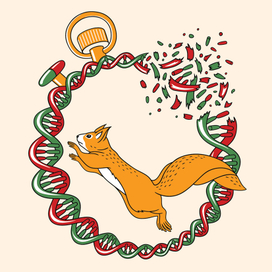 Иллюстрация для обложки книги "Жизненный план" 