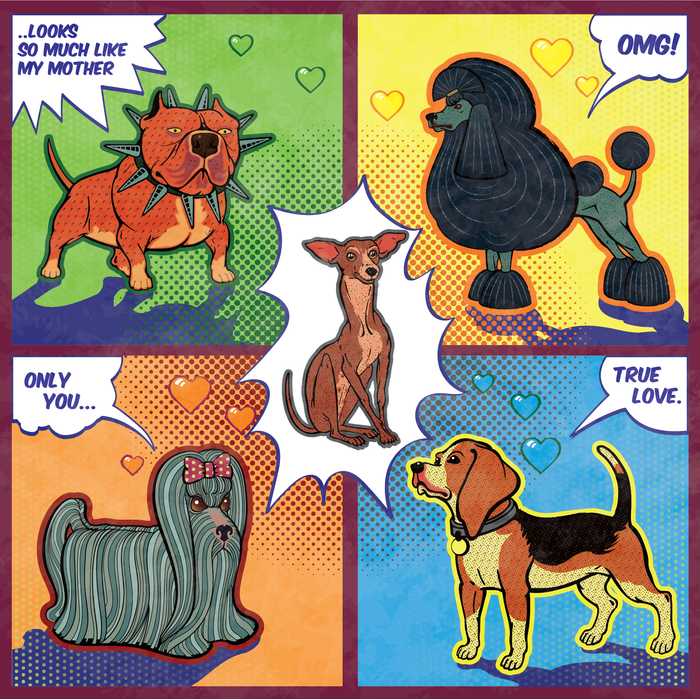 Собачки разных пород