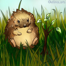 Ежик в траве