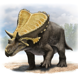 Mercuriceratops
