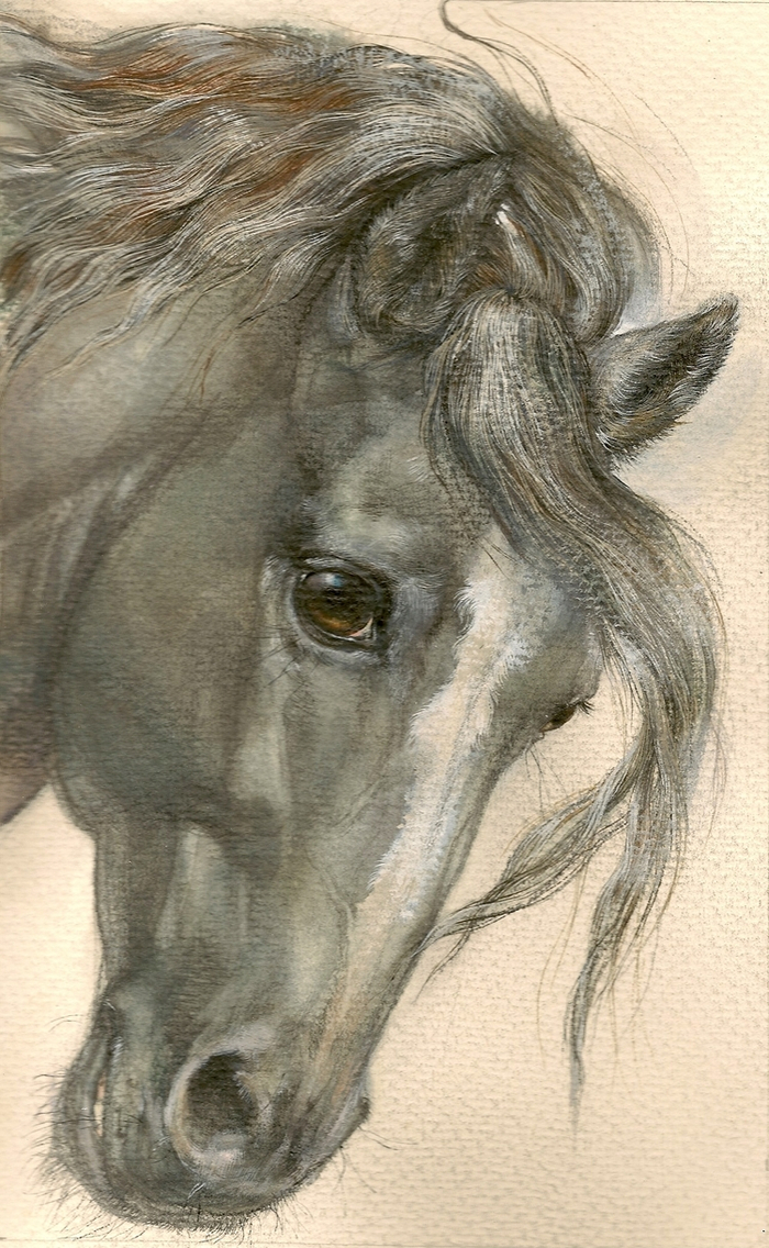 Дымка....второй вариант