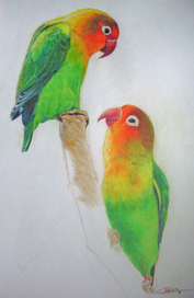 Неразлучники