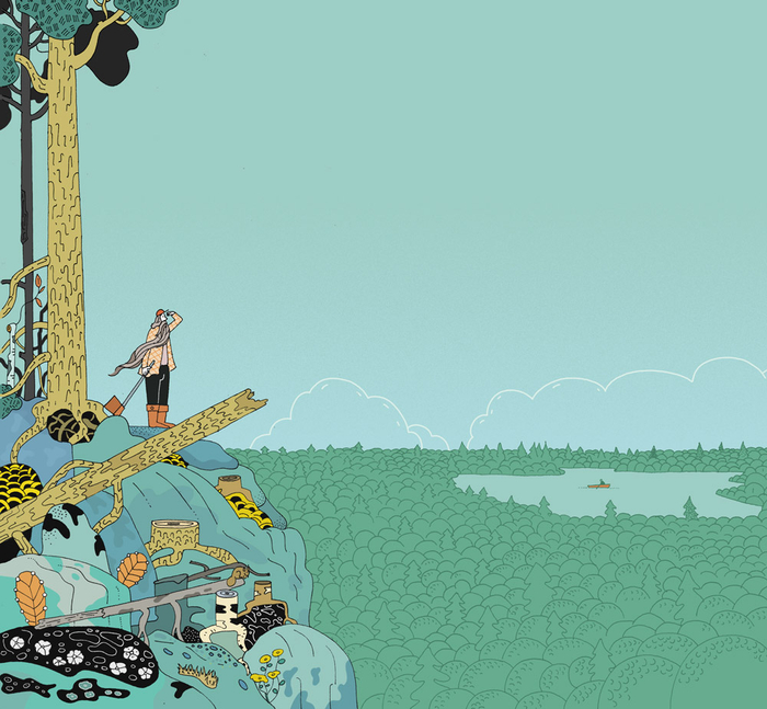 Запасы леса