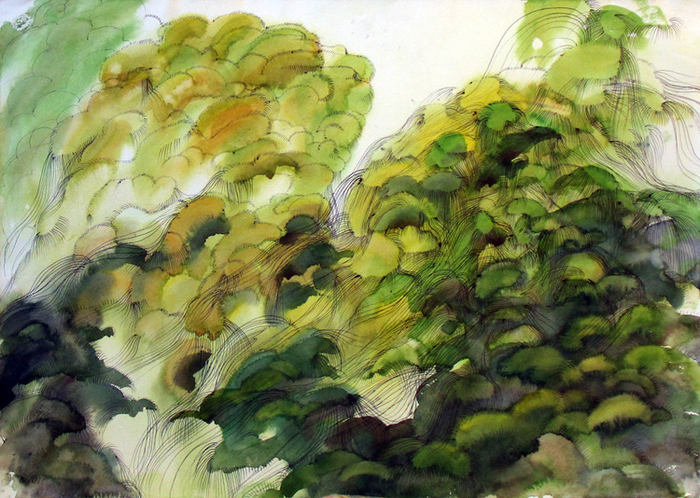 Холмистый склон