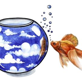 Нюансы свободы 