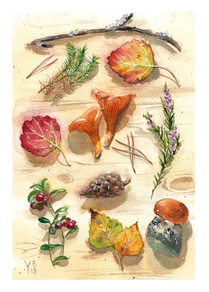 Гостинцы из леса