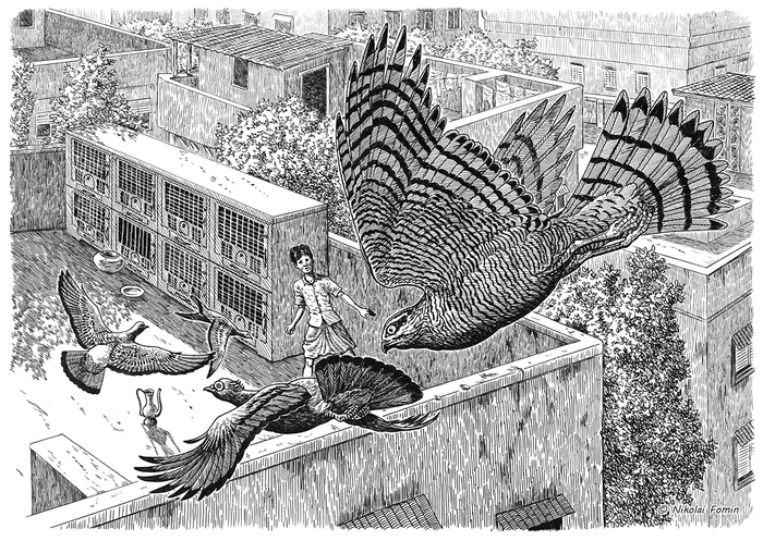 Калькуттский залётный.