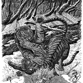 Ночная разборка кошаков.