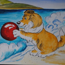 ребенок колли