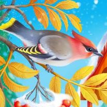 Птицы зимой