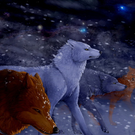 Wolf's rain