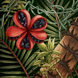 Digital-иллюстрация