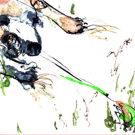 Первая охота