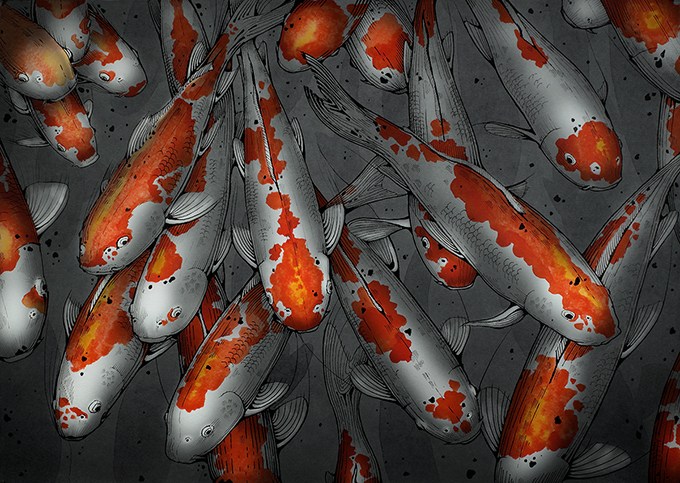 Koi (вариант)