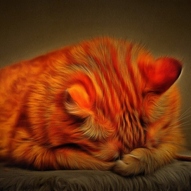 Рыжий кот спит( рисунок по фото)№3