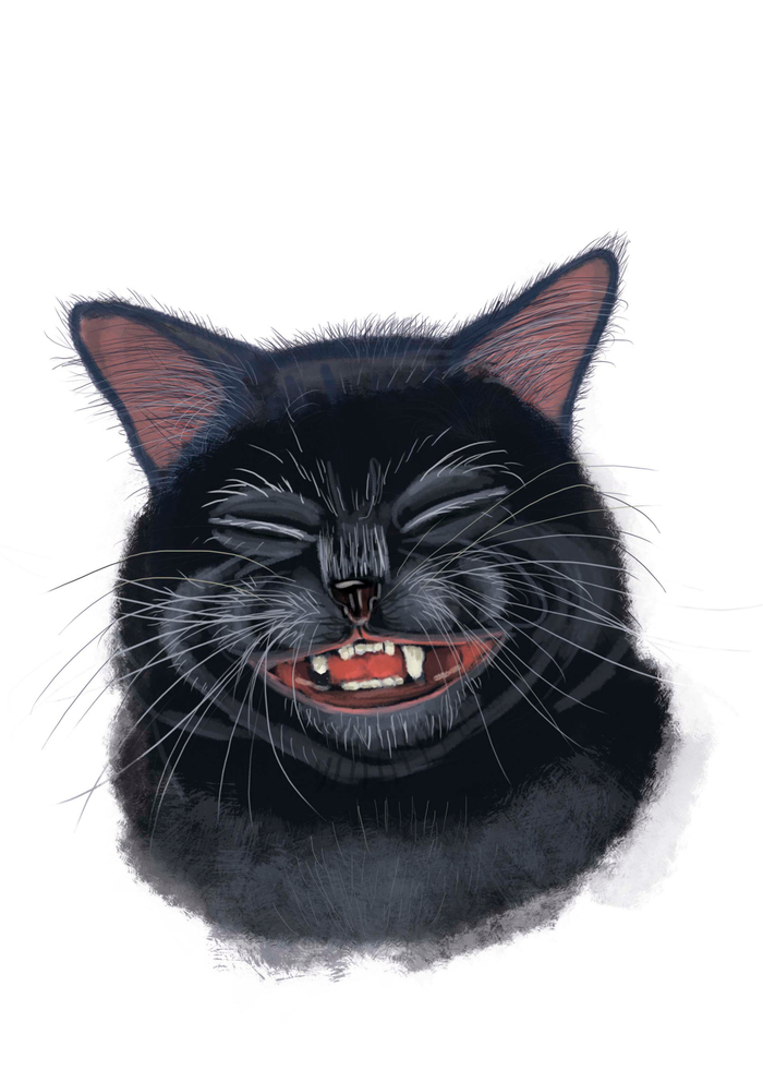 Ура! Мой дружок мышонок Кыш вернулся!