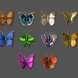 Бабочки