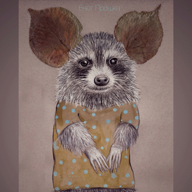 Енот Прошка