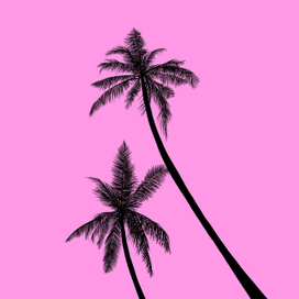 Пальмы на розовом фоне