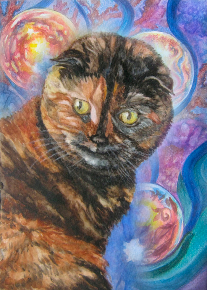 Загадочный взгляд неизвестной вселенной