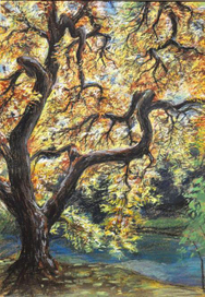 Дерево, осень